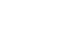 Store intelligence report